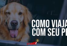 como trasportar seu pet de forma correta no carro KkIWxXBm7Z8