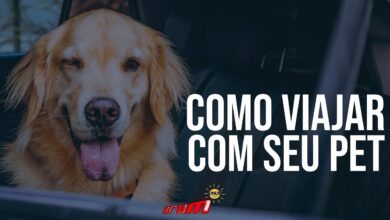 como trasportar seu pet de forma correta no carro KkIWxXBm7Z8