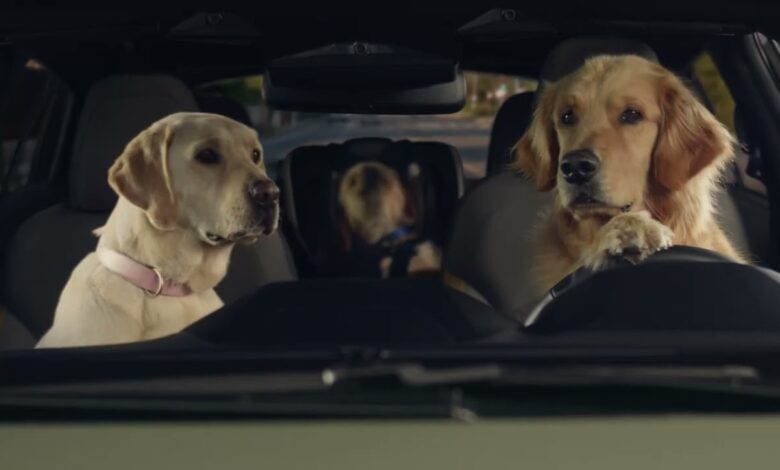 Puppy Barkleys Road Trip Tunes | Subaru Dog Tested TV Commercial