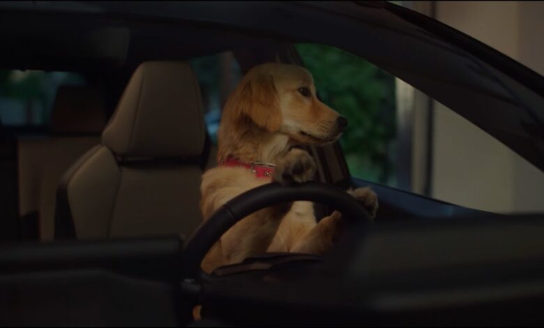 Caught | Subaru Dog Tested TV Commercial