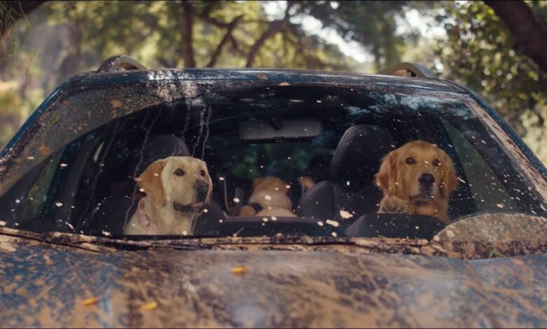 Off-Roading | Subaru Dog Tested TV Commercial