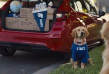 Teen Barkley Goes to College | Subaru Dog Tested TV Commercial