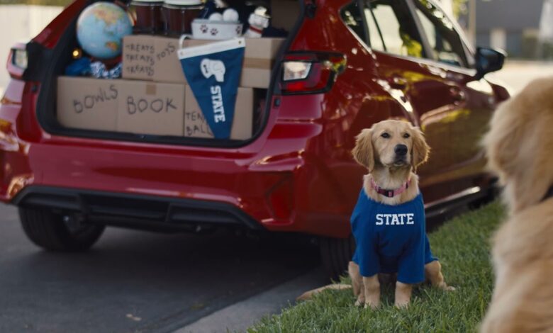 Teen Barkley Goes to College | Subaru Dog Tested TV Commercial