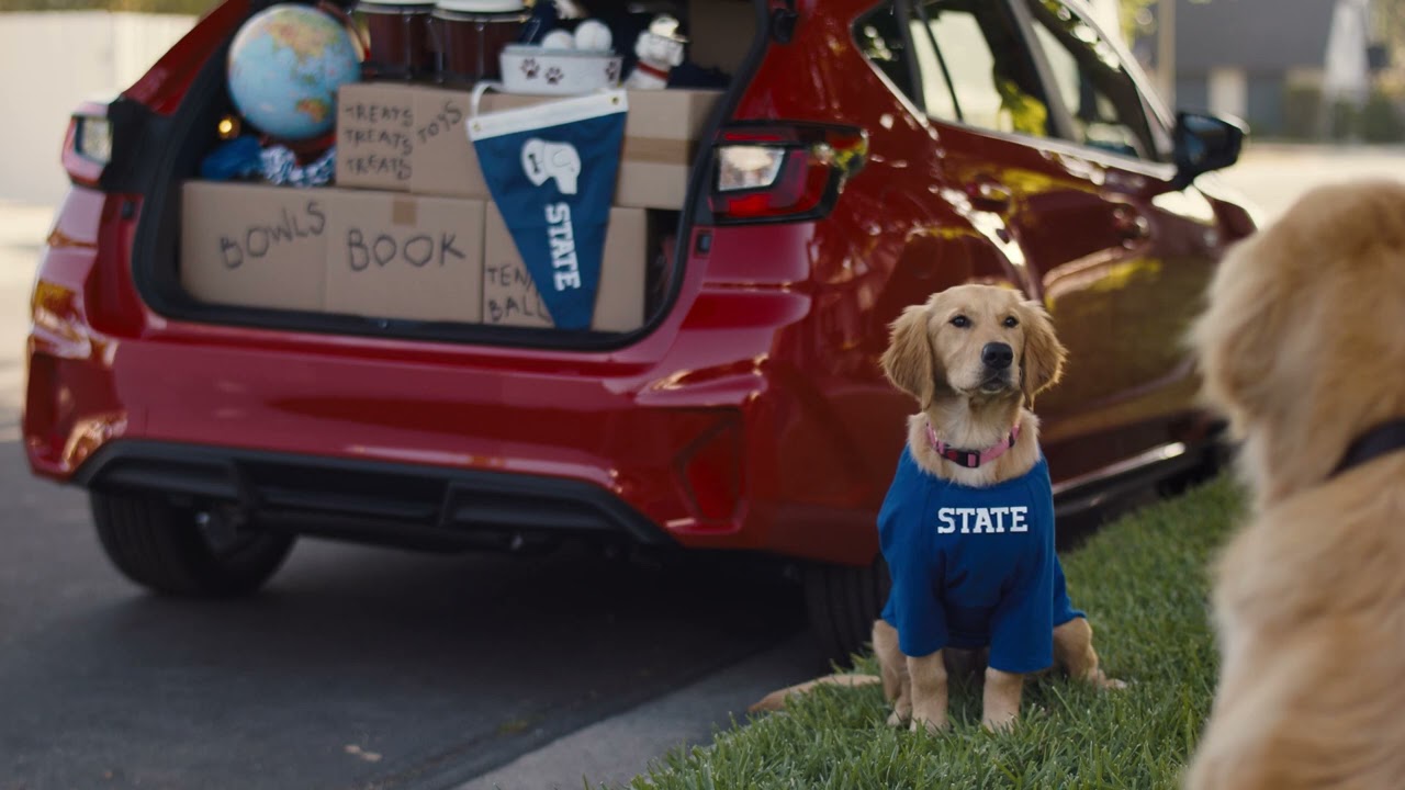 Teen Barkley Goes to College | Subaru Dog Tested TV Commercial