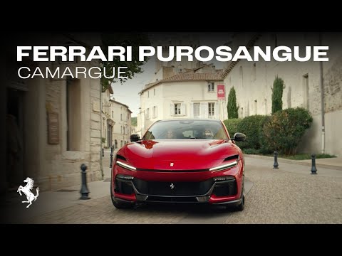 The Ferrari Purosangue - an experience unlike any other