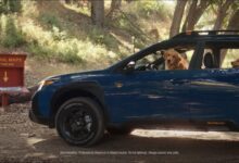 Trail Map | Subaru Dog Tested TV Commercial