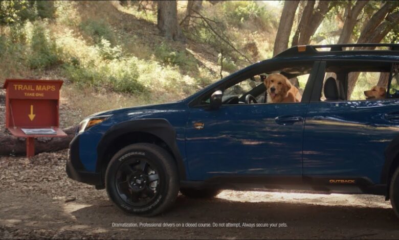 Trail Map | Subaru Dog Tested TV Commercial