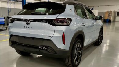 vw tera