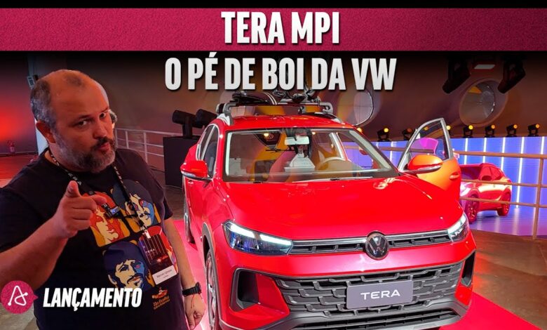 vw tera