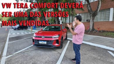 vw tera