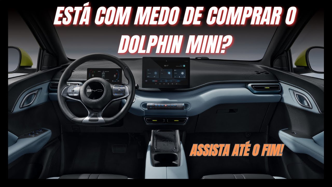 ESTÁ COM MEDO DE COMPRAR O BYD DOLPHIN MINI? 11 BYD Dolphin Mini