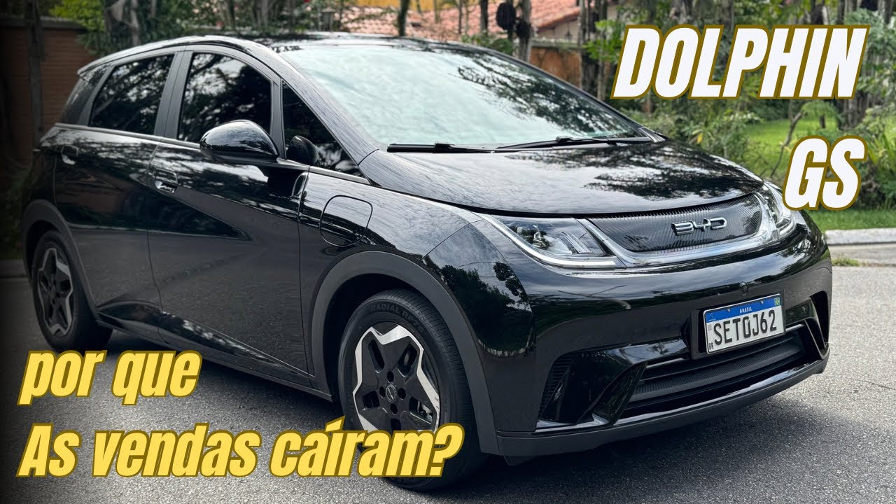 BYD Dolphin Plus
