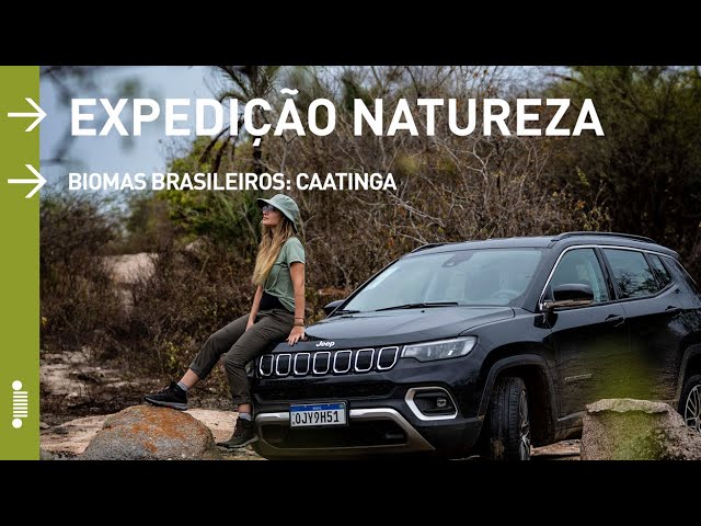 4 Melhores Concessionárias Jeep em Alagoas